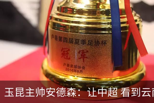 玉昆主帅安德森：让中超 看到云南足球的力量